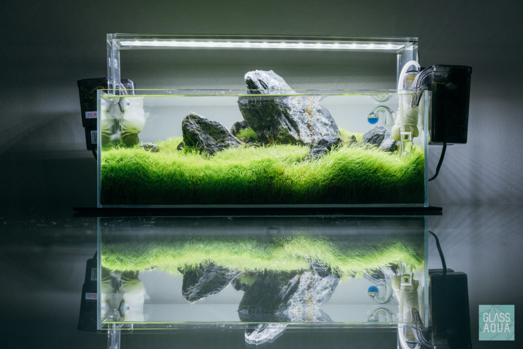 Glass Aqua Planted Aquarium Tank Dry Start Method Guide
