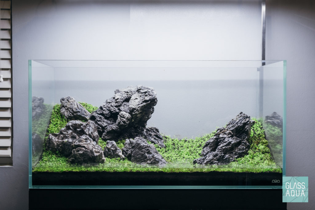 ADA Iwagumi Ryuoh Stone Aquascape Planted Aquarium Tank - Glass Aqua