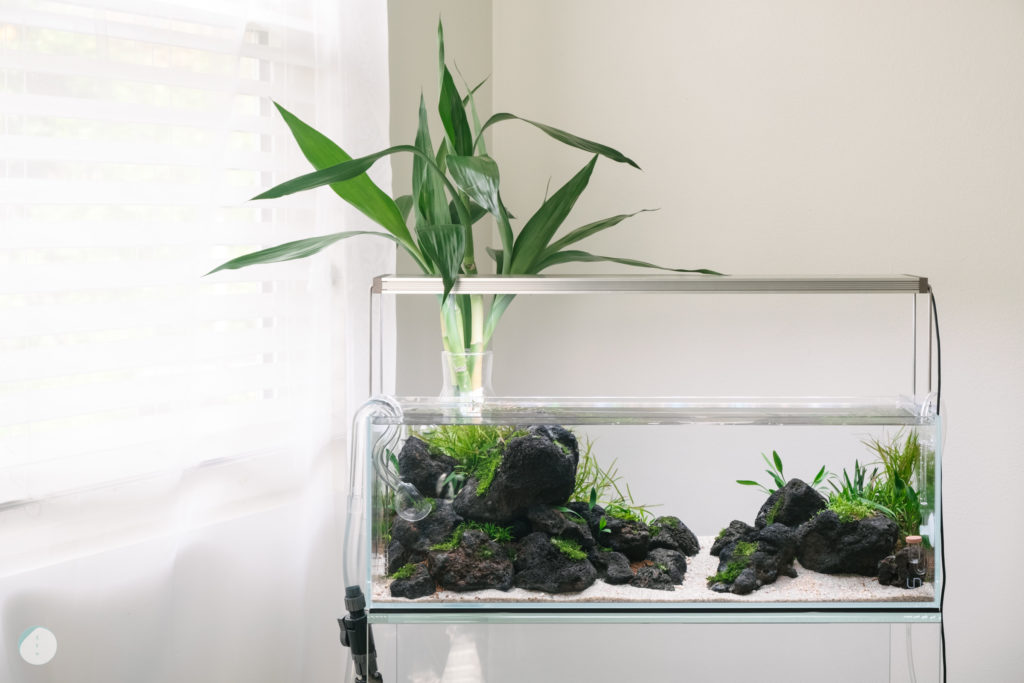 Ultum Nature Systems UNS 60L Long Planted Aquarium Tank Twinstar 600EA