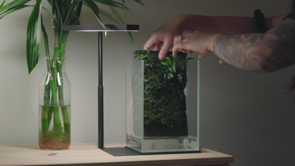 Glass Aqua Aqua-darium Planted Aquarium Paludarium