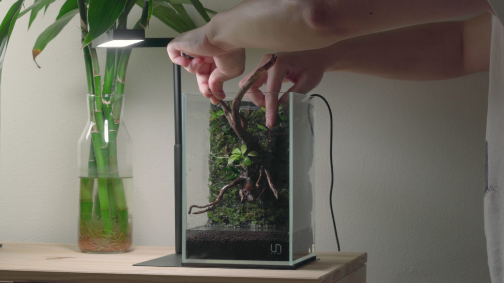 Glass Aqua Aqua-darium Planted Aquarium Paludarium