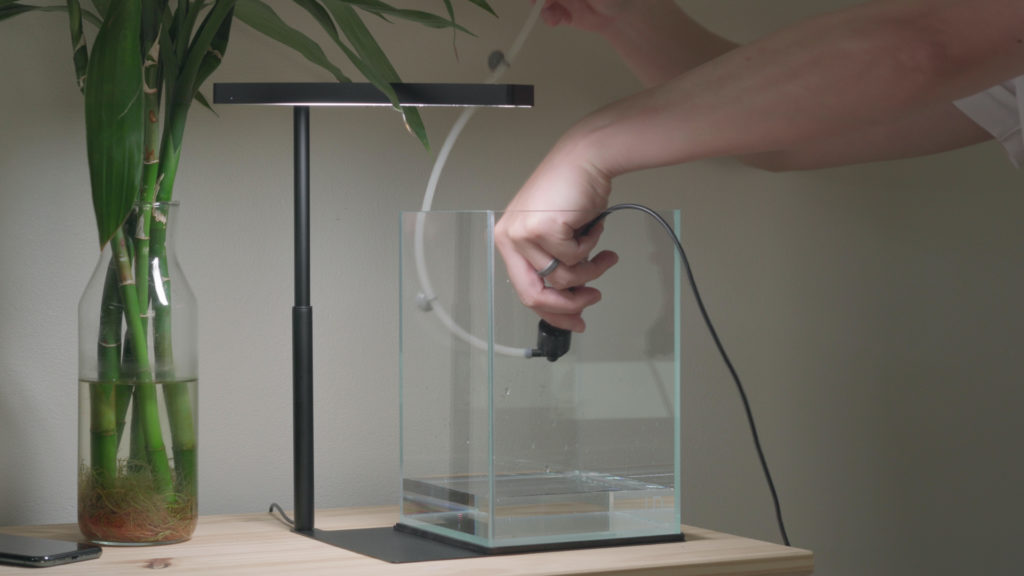 Glass Aqua Aqua-darium Planted Aquarium Paludarium