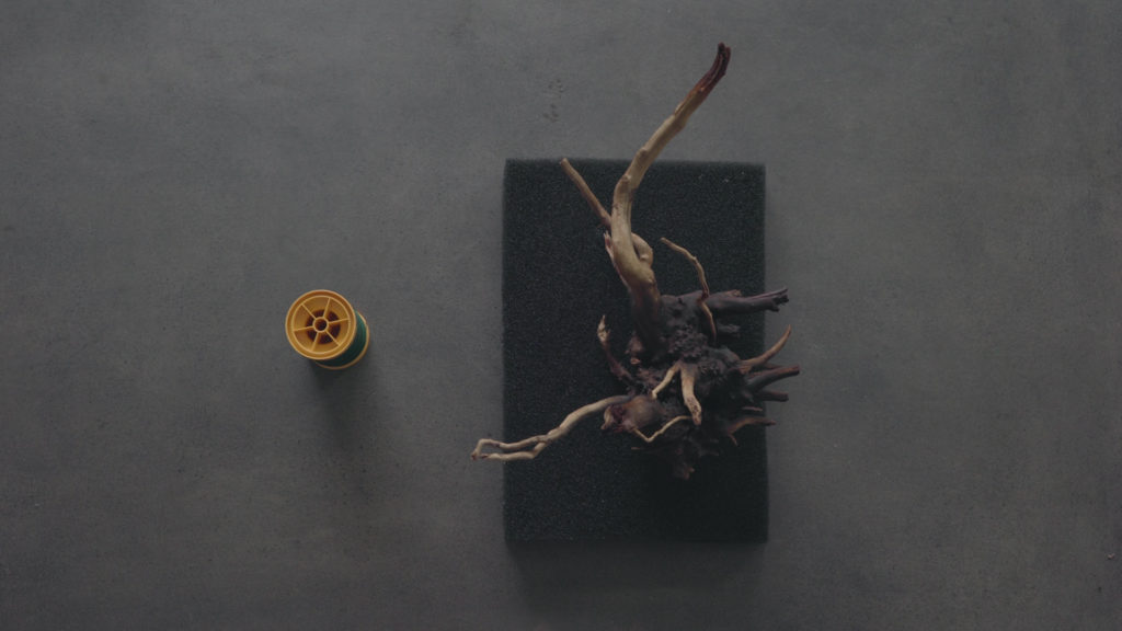 Glass Aqua Aqua-darium Planted Aquarium Paludarium