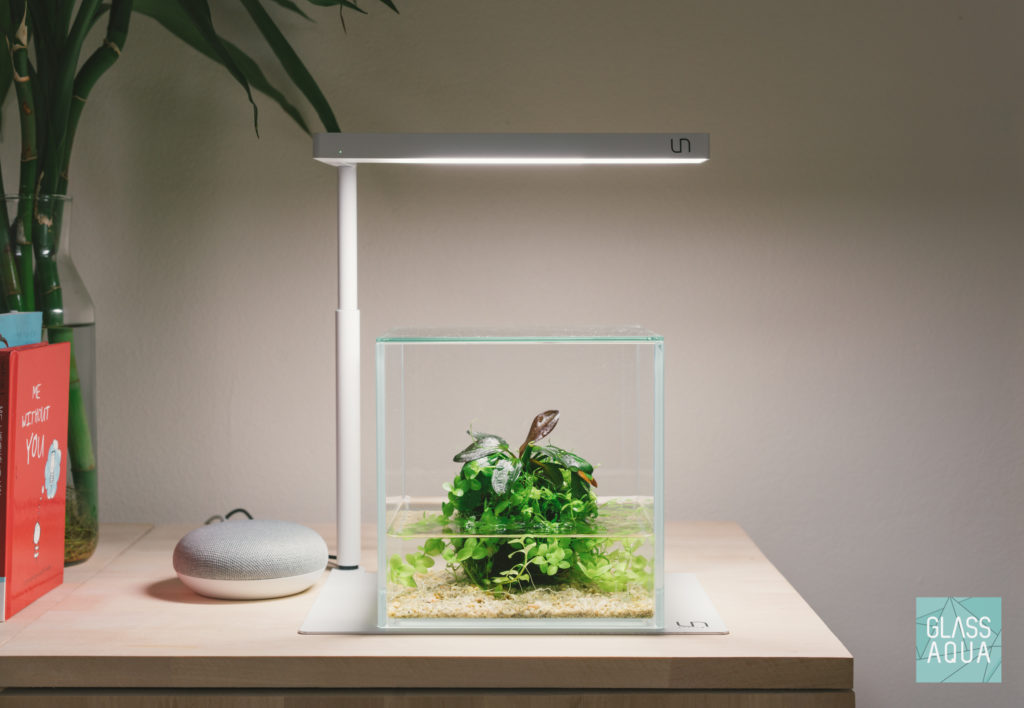 Glass Aqua Wabi Kusa UNS 16C Cube Aquarium