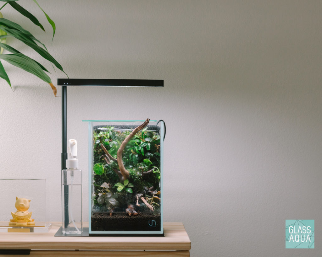 Glass Aqua Aqua-darium Planted Aquarium Paludarium