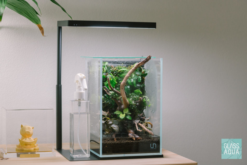 Glass Aqua Aqua-darium Planted Aquarium Paludarium