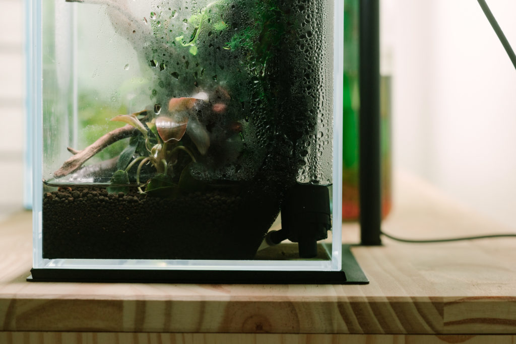 Glass Aqua Aqua-darium Planted Aquarium Paludarium