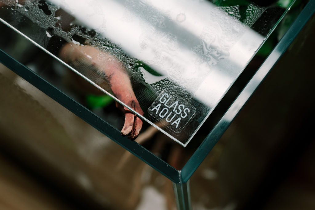 Glass Aqua Aqua-darium Planted Aquarium Paludarium