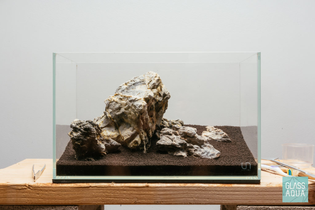 Iwagumi Planted Nano Aquarium Tank