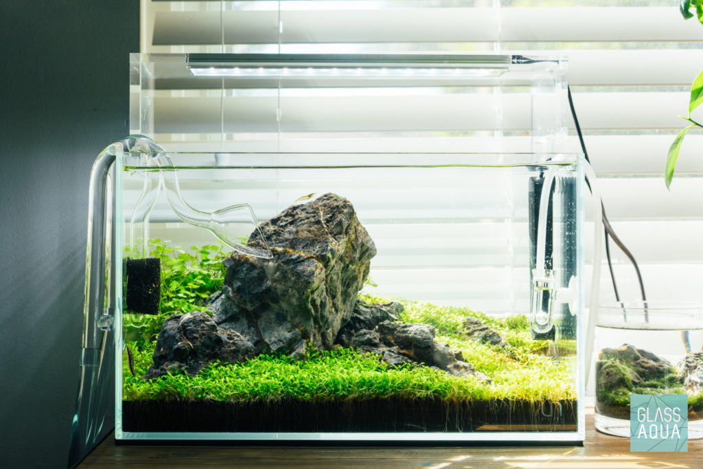 Iwagumi Planted Nano Aquarium Tank