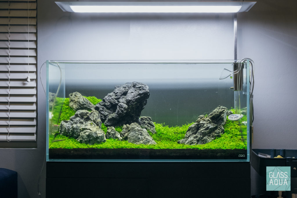The Swell Guide to Aquarium hardscape - Help Guides