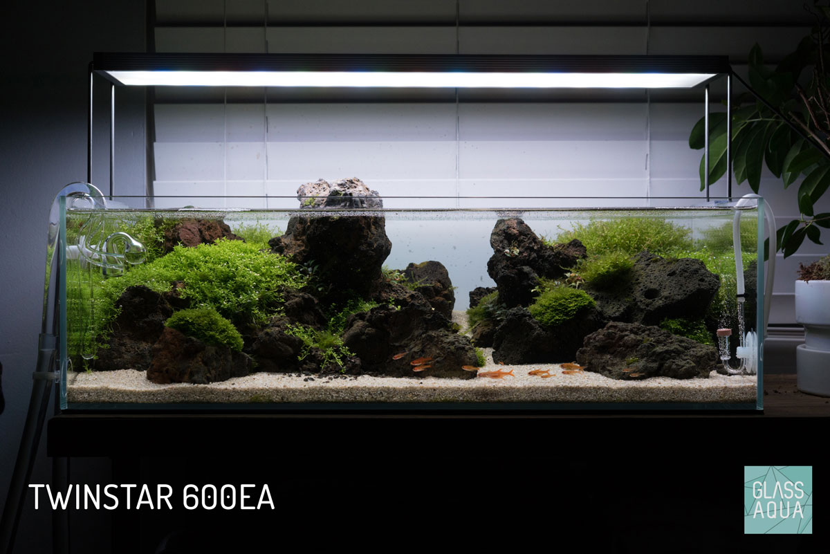 Ultum Nature Systems UNS 60S Shallow Planted Aquarium Tank Twinstar