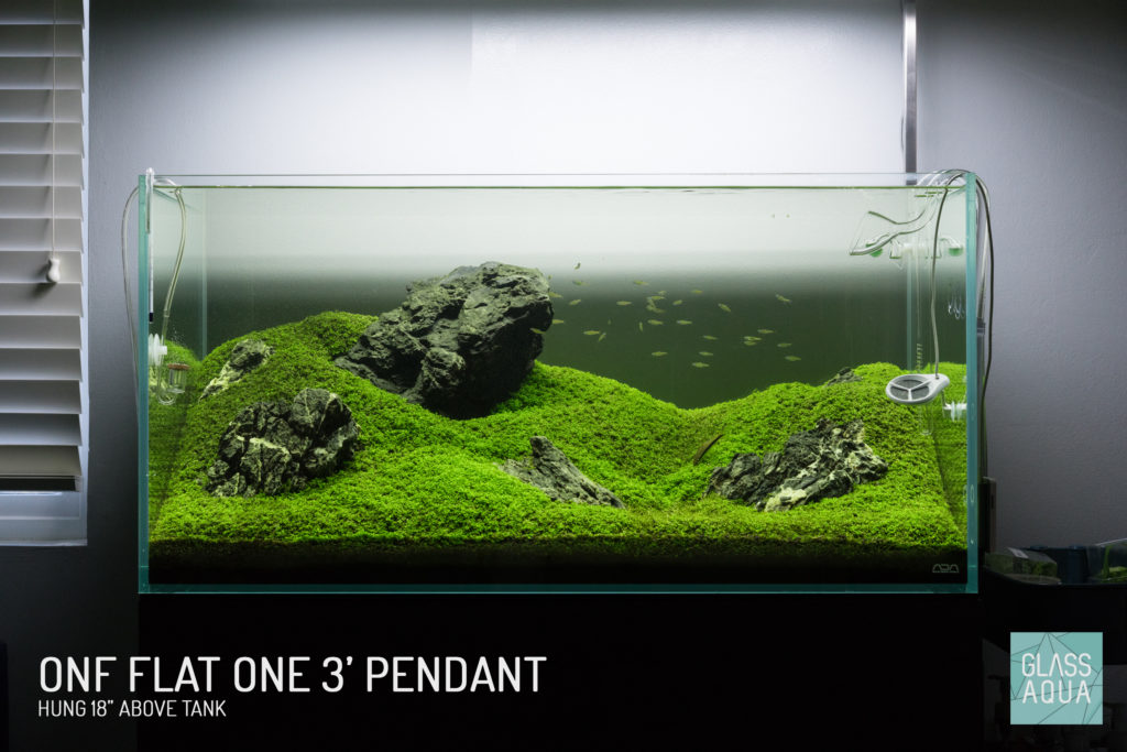 ADA 90P Planted Aquarium Tank ONF Flat One Pendant LED Light Glass Aqua